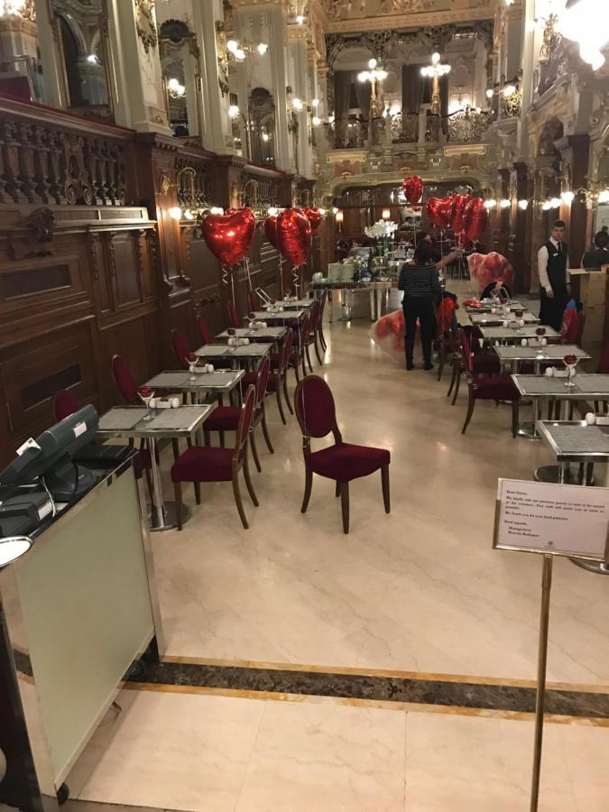 Budapest, Graf Teleki Laszlo Apartman Budapest