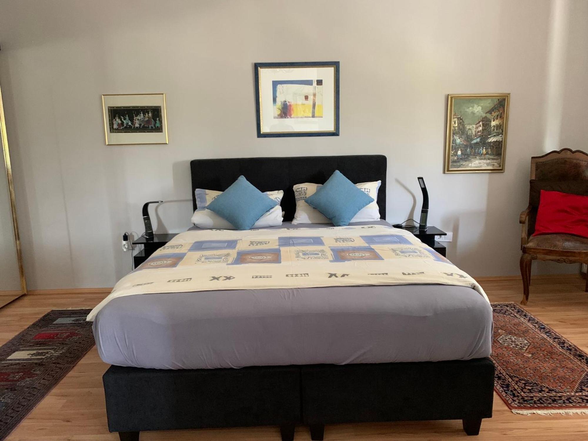 Apartman Budapest, Graf Teleki Laszlo Budapest